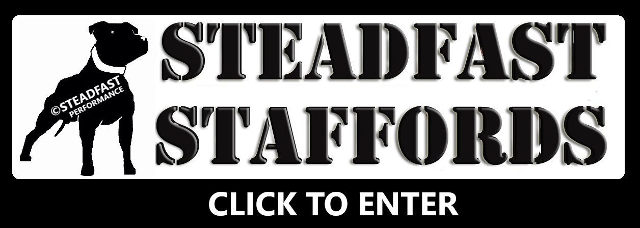 Click to Enter